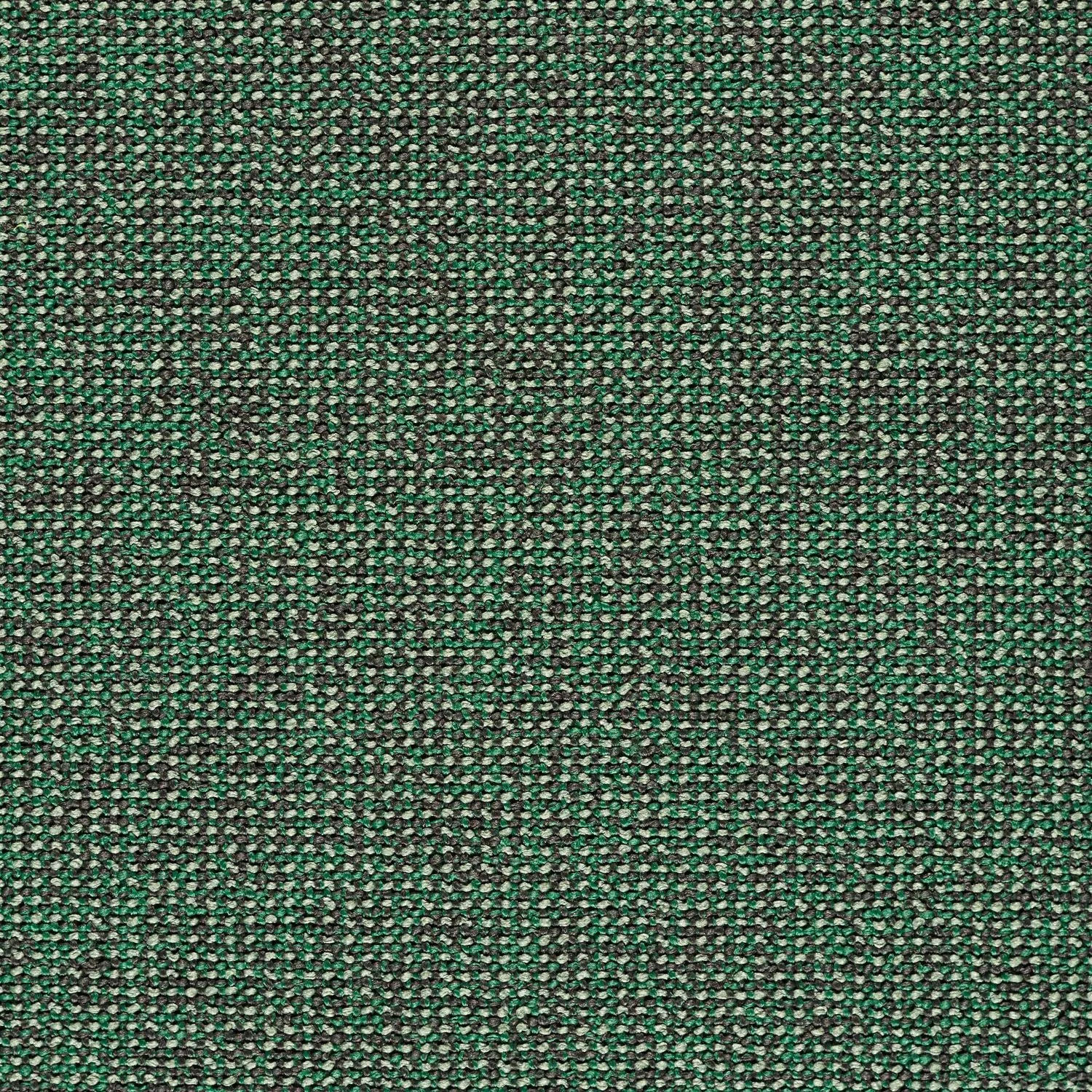 Adage - Canopy - 4069 - 16