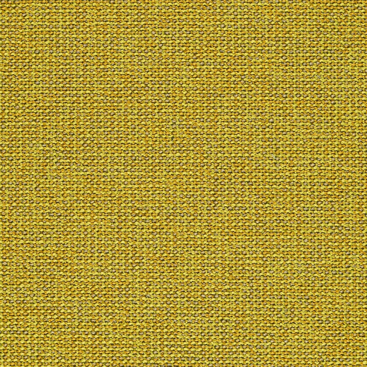 Adage - Photon - 4069 - 14