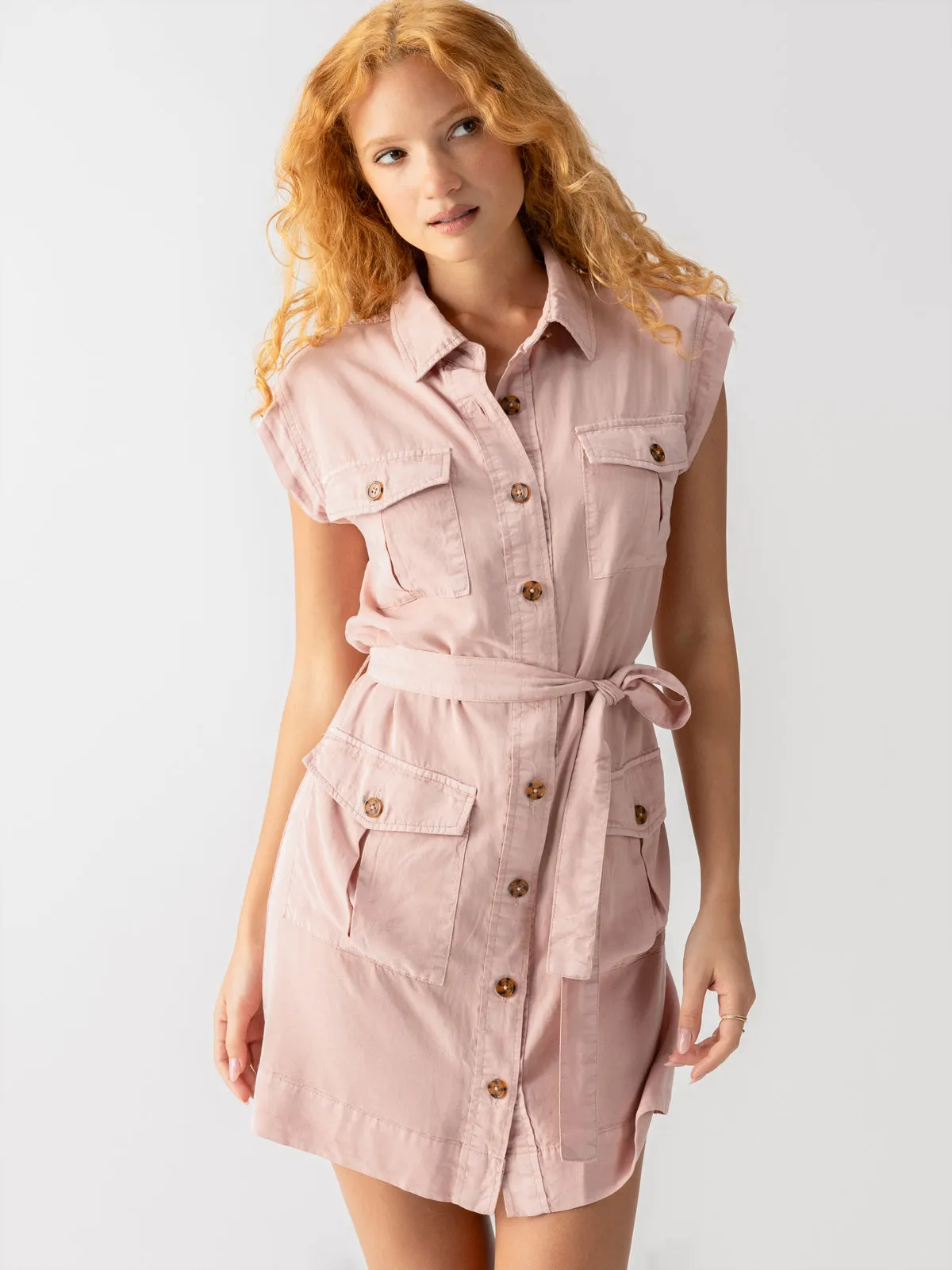 Theo Surplus Dress